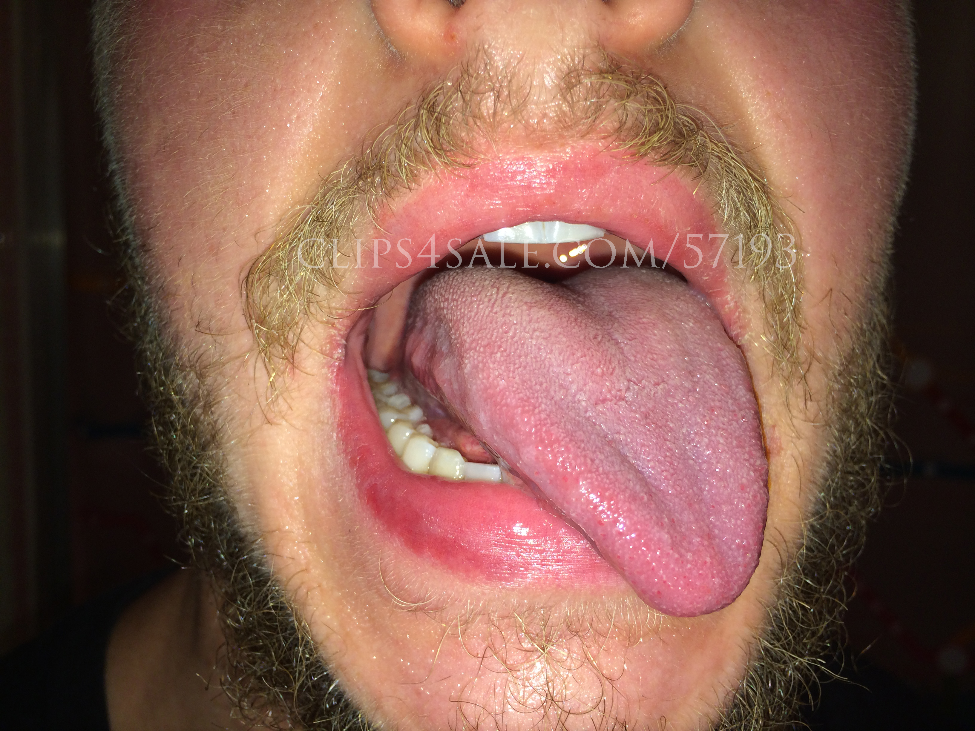 Tongueandspit